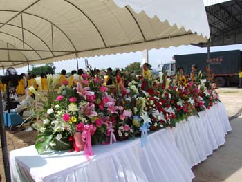 DSCF0011